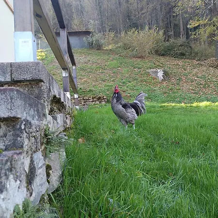 Сasa de vacaciones 2 Double Apartment- La Casa Di Alice Valbrona