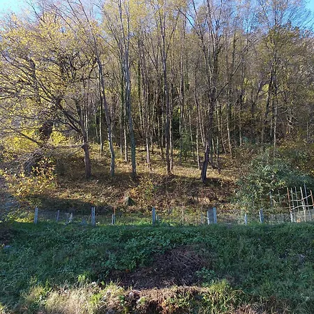 2 Double Apartment- La Casa Di Alice Сasa de vacaciones Valbrona