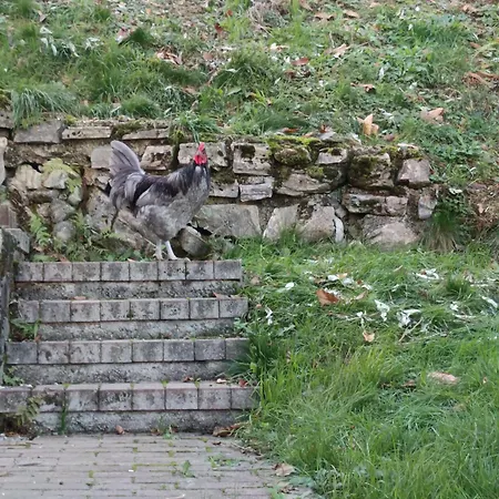 2 Double Apartment- La Casa Di Alice Vakantiehuis *