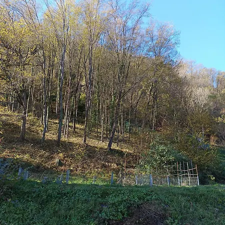 2 Double Apartment- La Casa Di Alice Vakantiehuis Valbrona